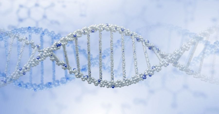 PRP Therapy - Platelet Rich Plasma Therapy - Platelet Rich Therapy