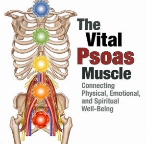 8567_the-vital-psoas-muscle