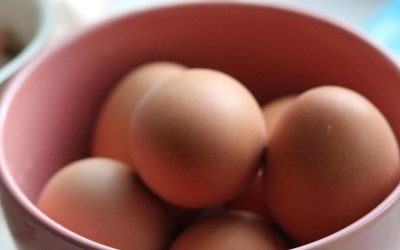 Eggs, Cholesterol, and Muscle Health: What the Science Really Says